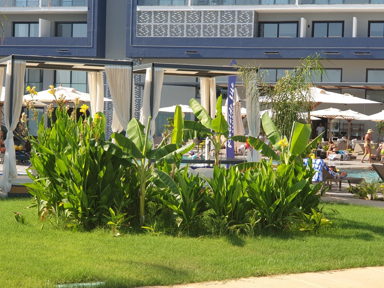 Restaurants & Cafés